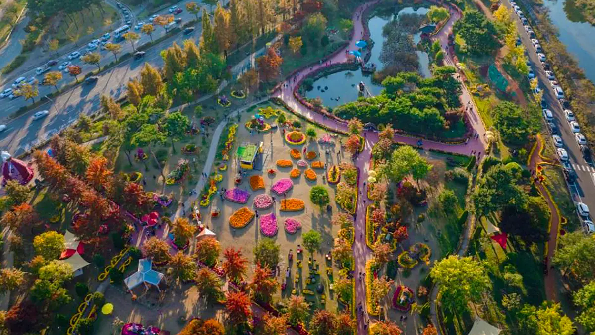 유성국화축제 항공샷