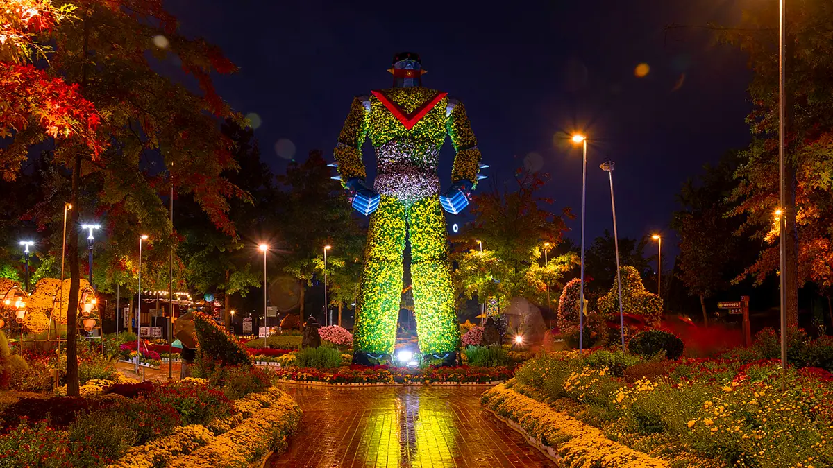유성국화축제 야경