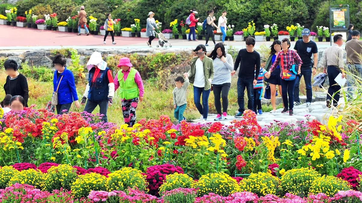 유성국화축제 풍경 유성국화축제 풍경