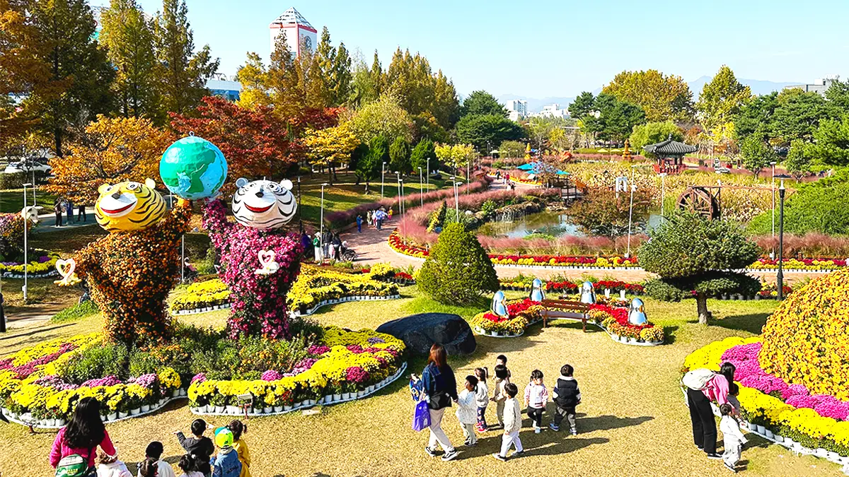 유성국화축제 유성국화축제