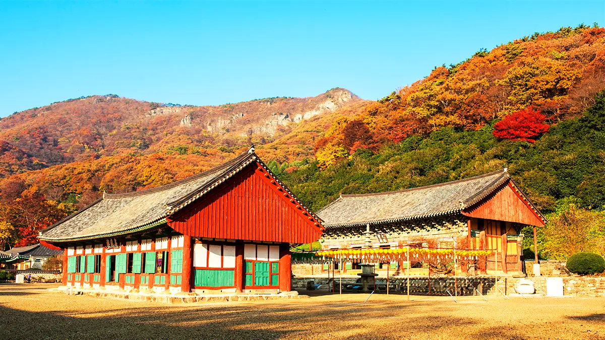 선운사 사찰 선운사 사찰