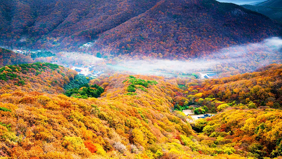 선운사 전경 선운사 전경