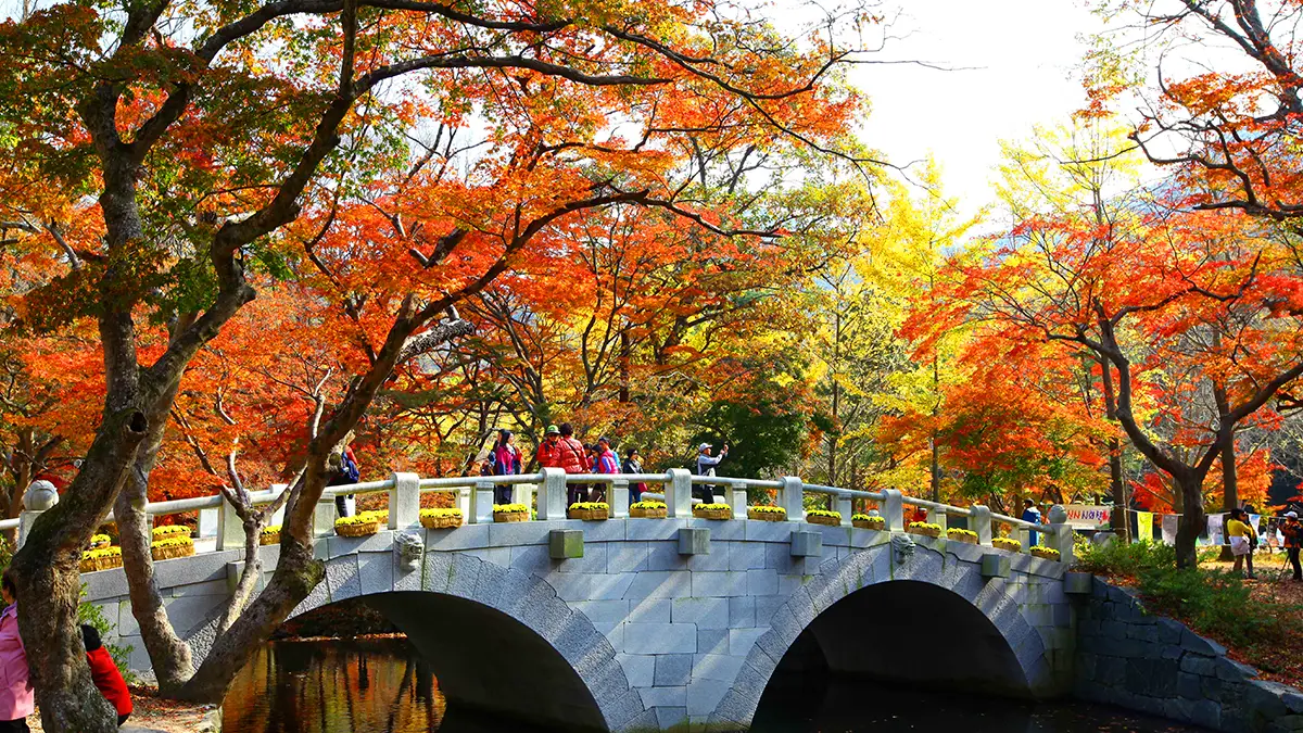 선운사 극락교 선운사 극락교