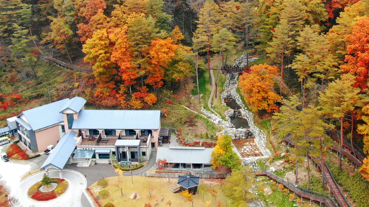 백두대간생태수목원 전경