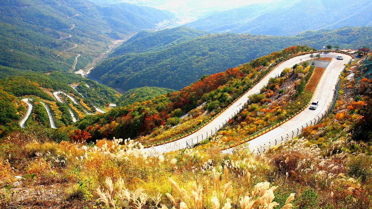 보현산 천수누림길