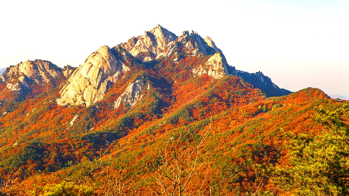 북한산 단풍