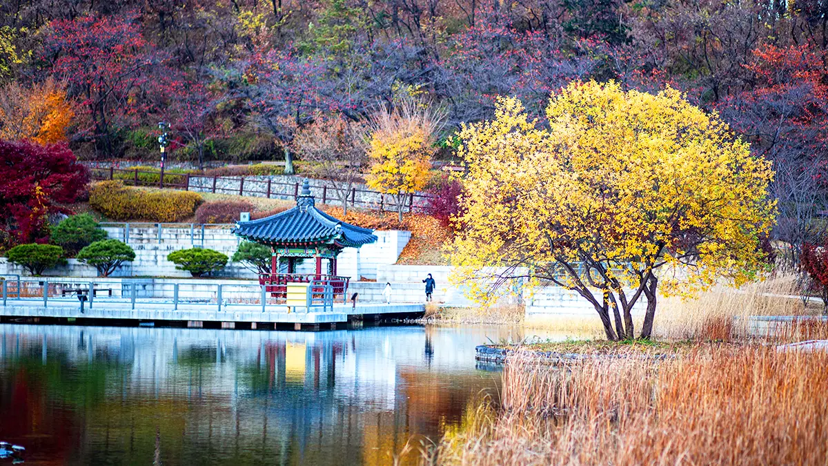 북서울꿈의숲 월영지