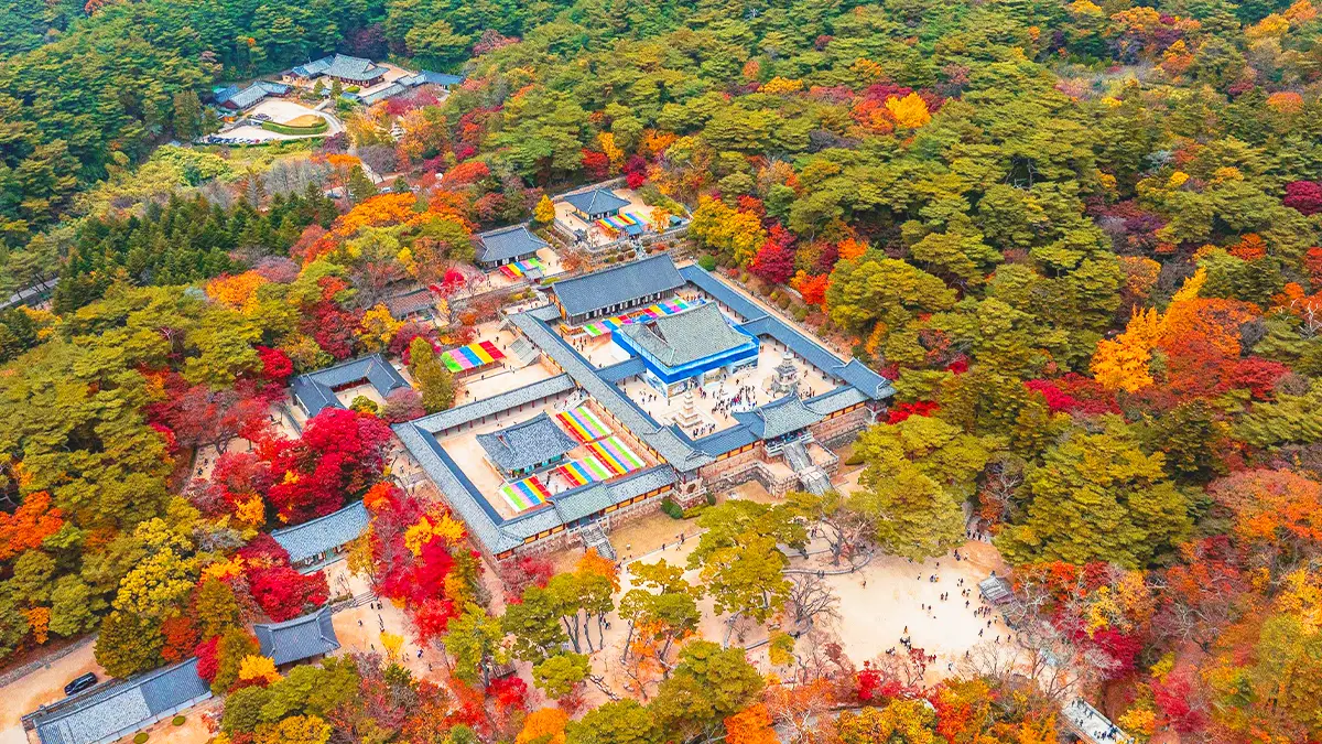 불국사 가을 전경