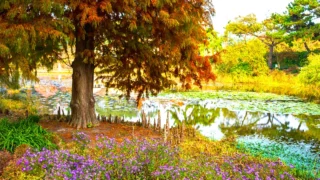 천리포수목원 가을 모습