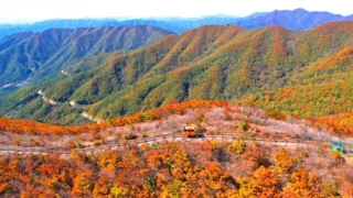 함양대봉산휴양밸리 모노레일 전경