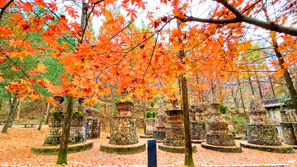 상소동 산림욕장 단풍 상소동 산림욕장 단풍