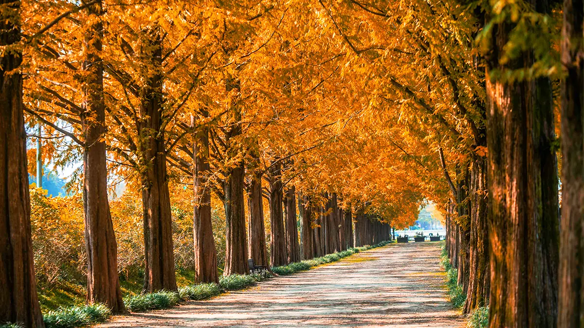 상수리나무 바람에 흔들릴 때, 서른 앞둔 까칠한 딸이 한 말 - 조선멤버십, image size:1200x675