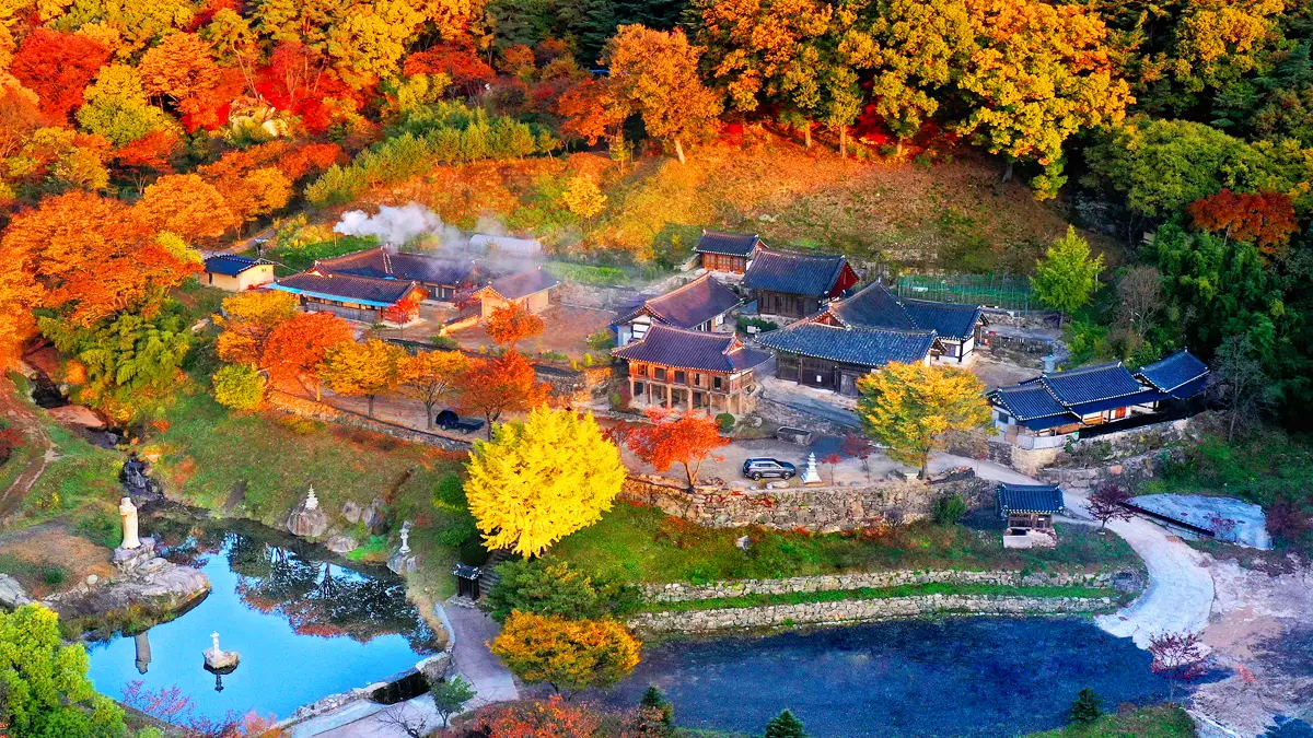 은해사 단풍 전경