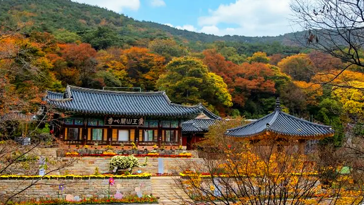 서산 개심사 서산 개심사