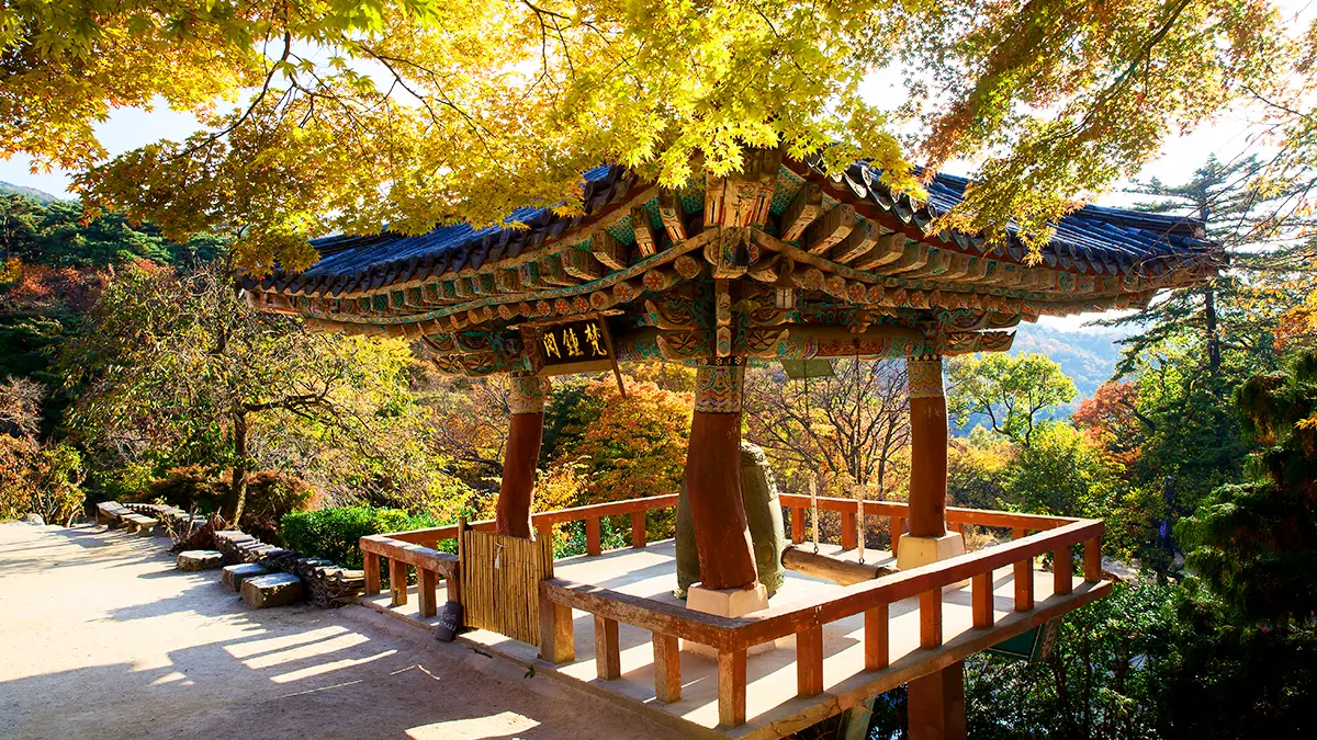 개심사 범종각 단풍 개심사 범종각 단풍