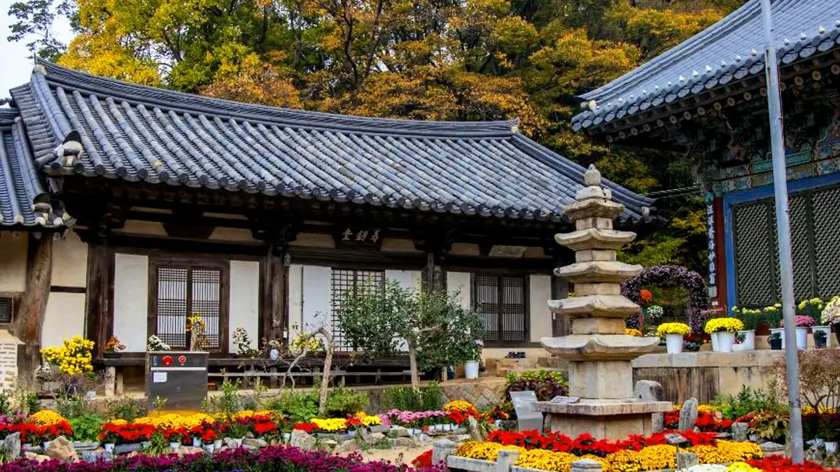 서산 개심사 가을 서산 개심사 가을