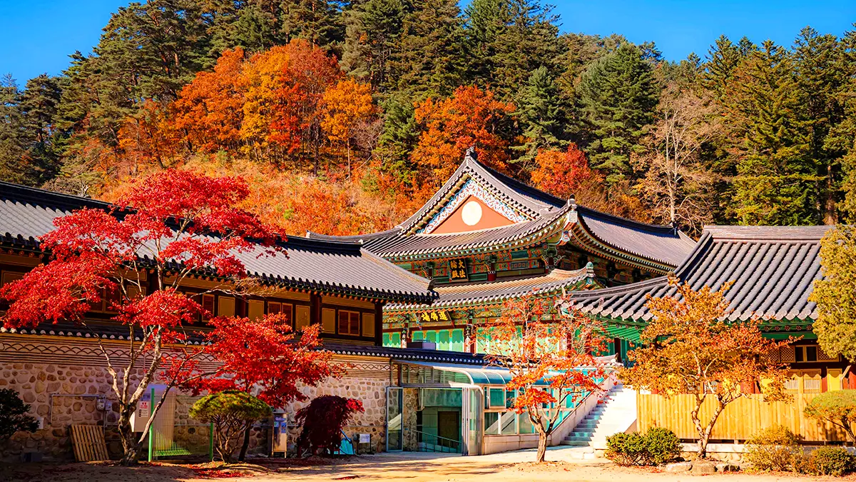 평창 월정사 가을 풍경