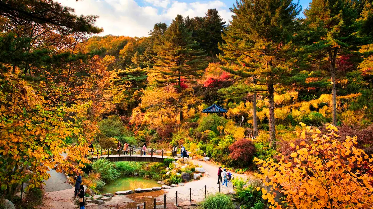 아침고요수목원