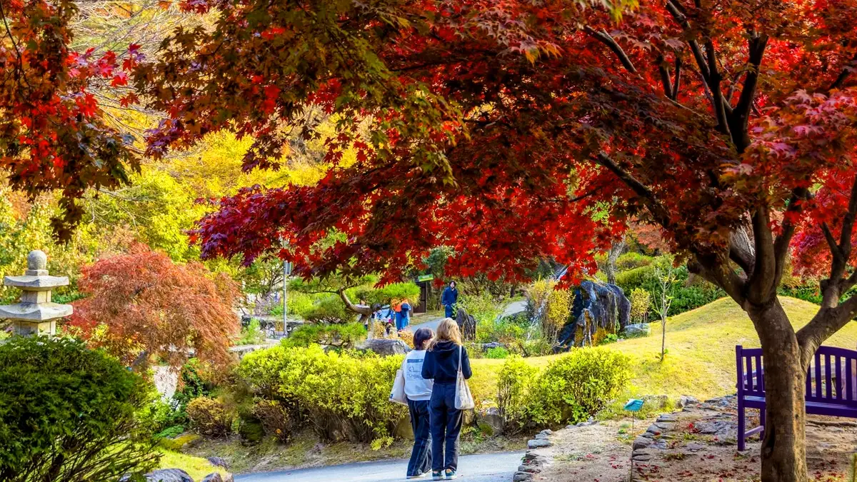 아침고요수목원 가을산책