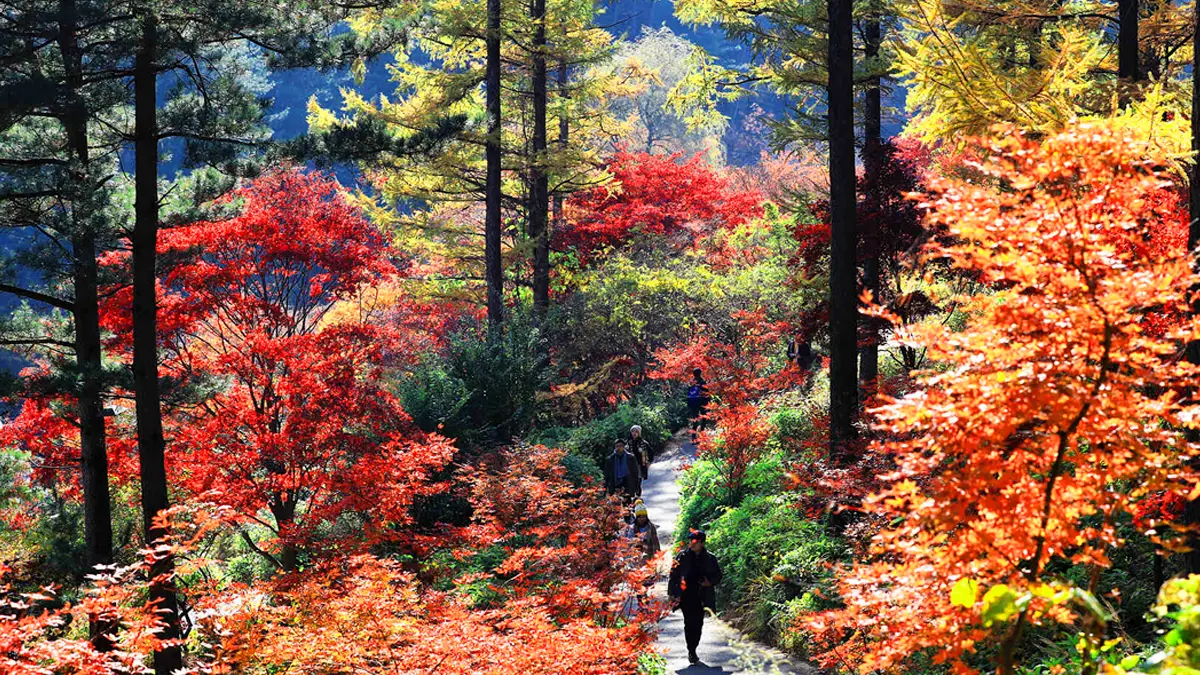 아침고요수목원 산책길