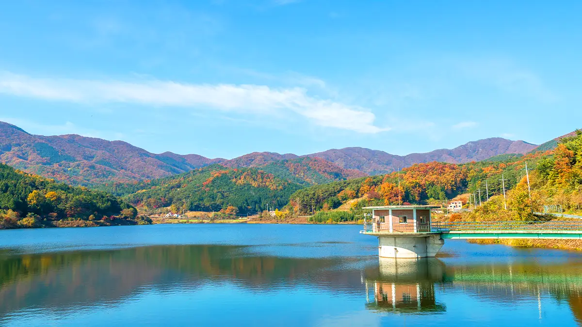 장성호 가을 풍경 장성호 가을 풍경