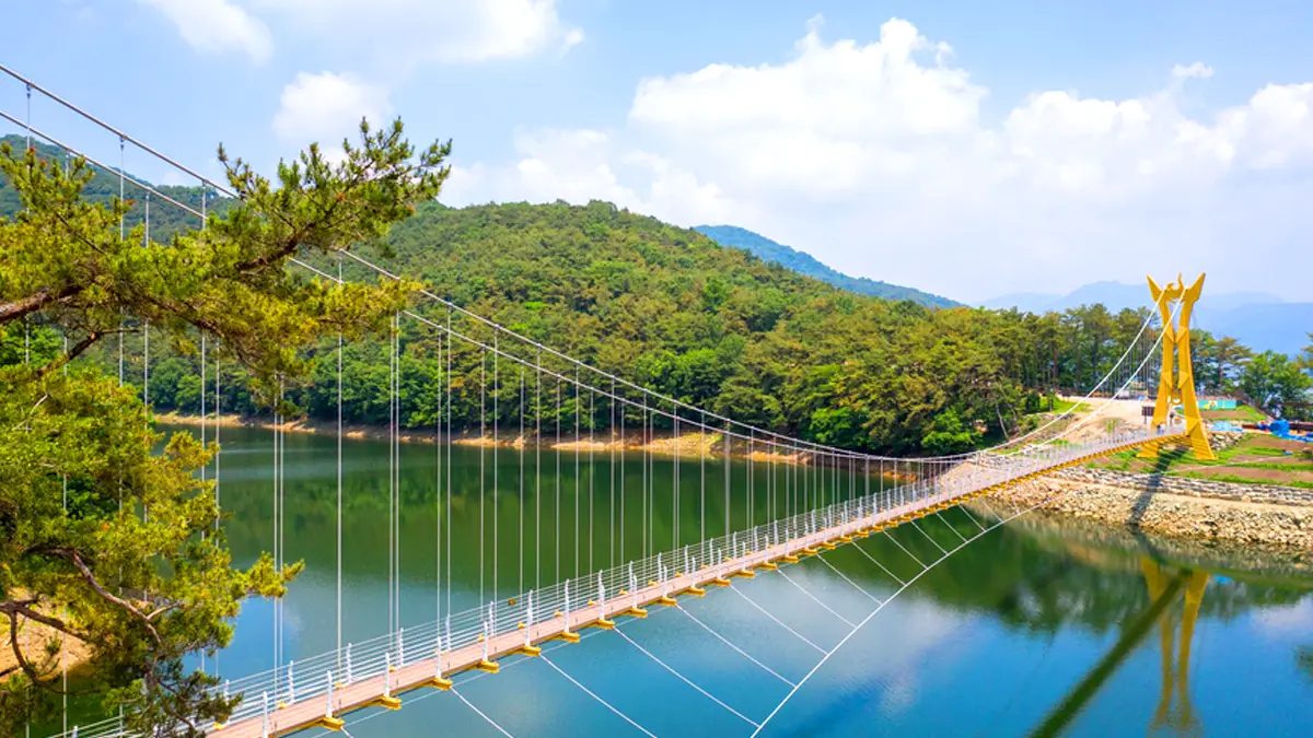 장성호 옐로우 출렁다리 장성호 옐로우 출렁다리