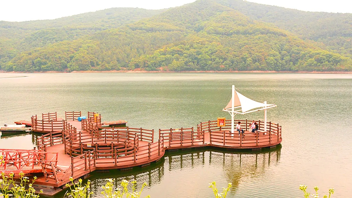 장성호 모습 장성호 모습