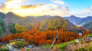 장태산자연휴양림 가을 전경