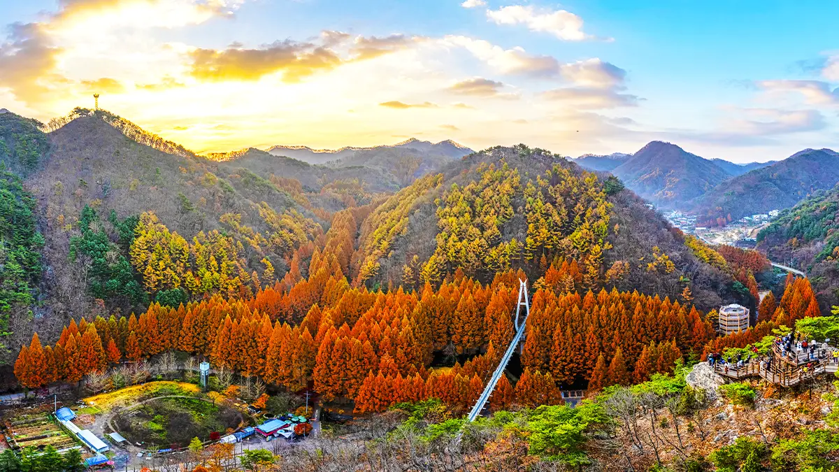 장태산자연휴양림 가을 전경
