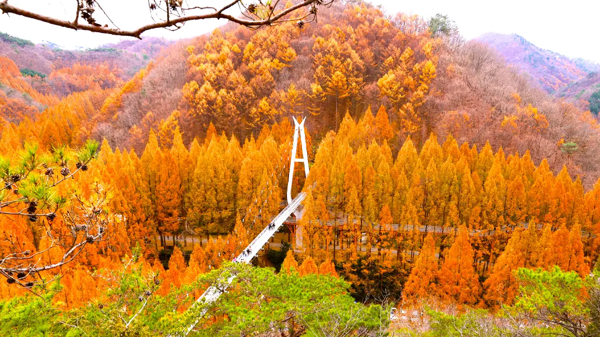 장태산자연휴양림