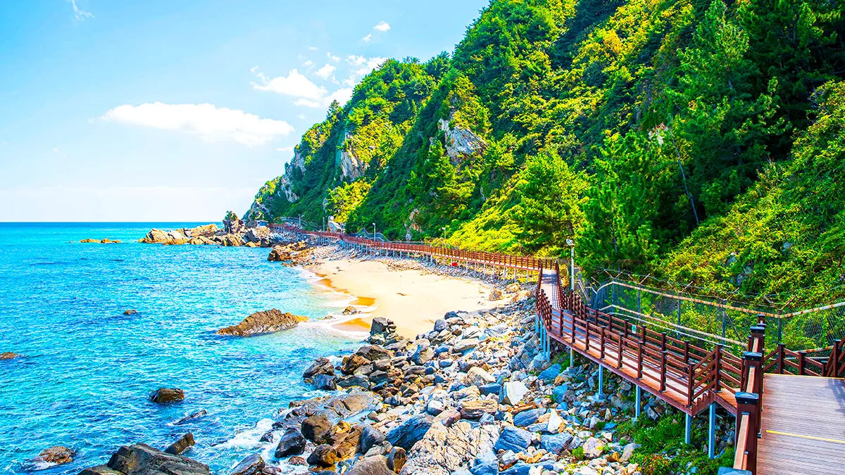 jeongdong simgok coastal fan road trail2