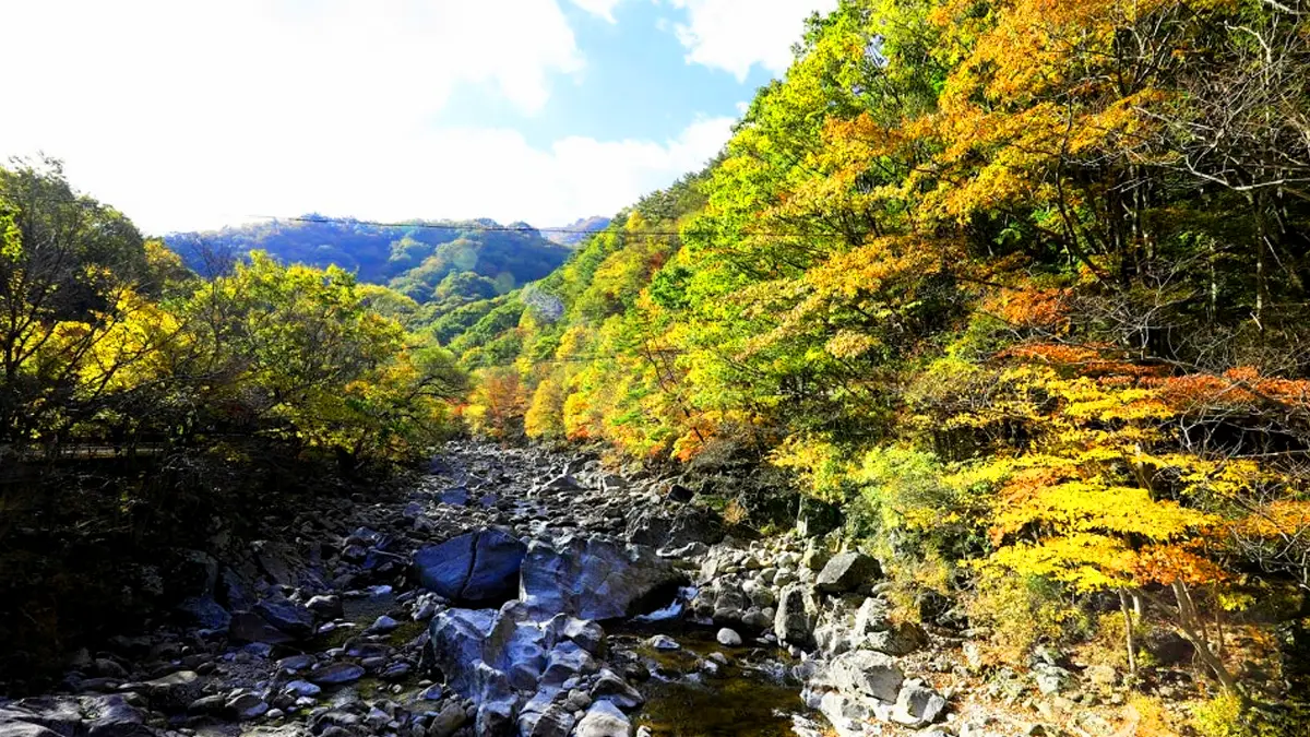 지리산 뱀사골 계곡