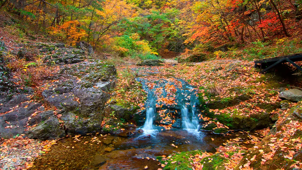 주왕산국립공원