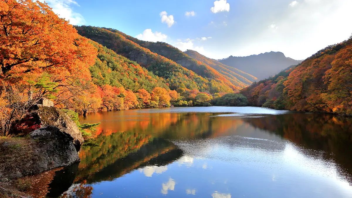 주왕산국립공원 단풍 풍경