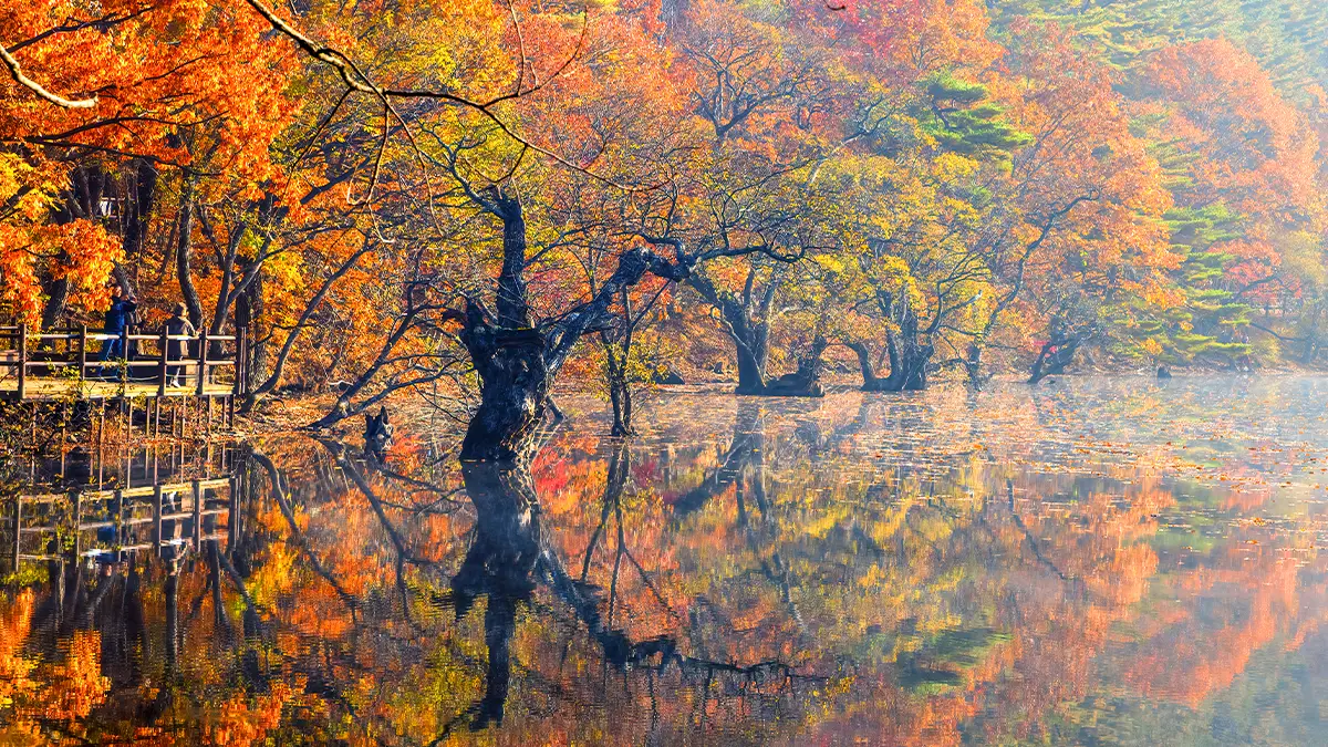 주왕산국립공원 가을