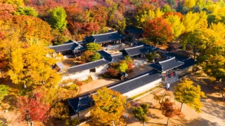 한국민속촌 추경