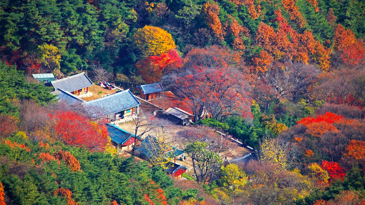 완주 모악산도립공원 전경