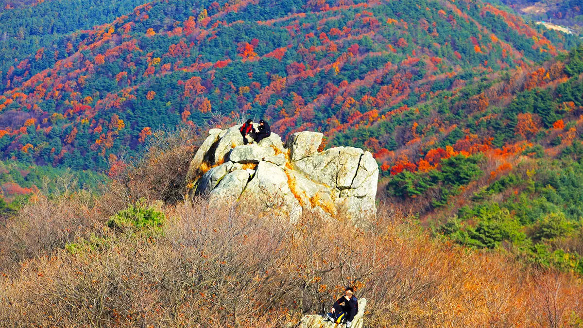 모악산 단풍 전경 모악산 단풍 전경
