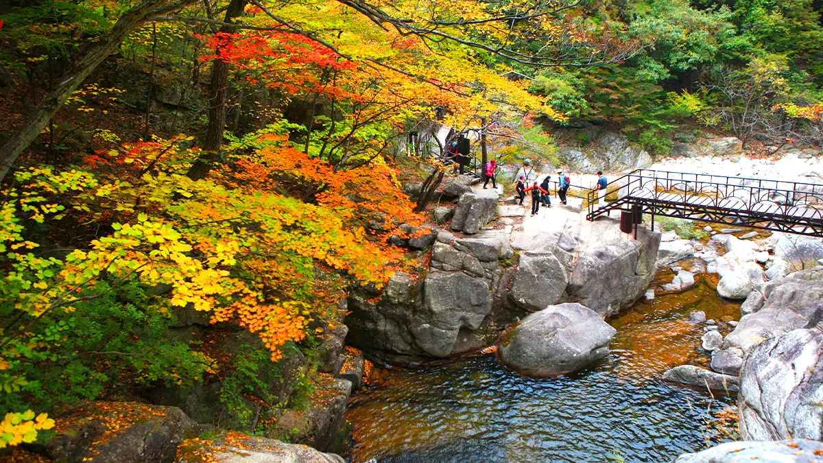 여긴 진짜 한국의 금강산이에요"… 단풍·폭포·계곡 다 즐기는 가을 트레킹 명소 - 여행을말하다