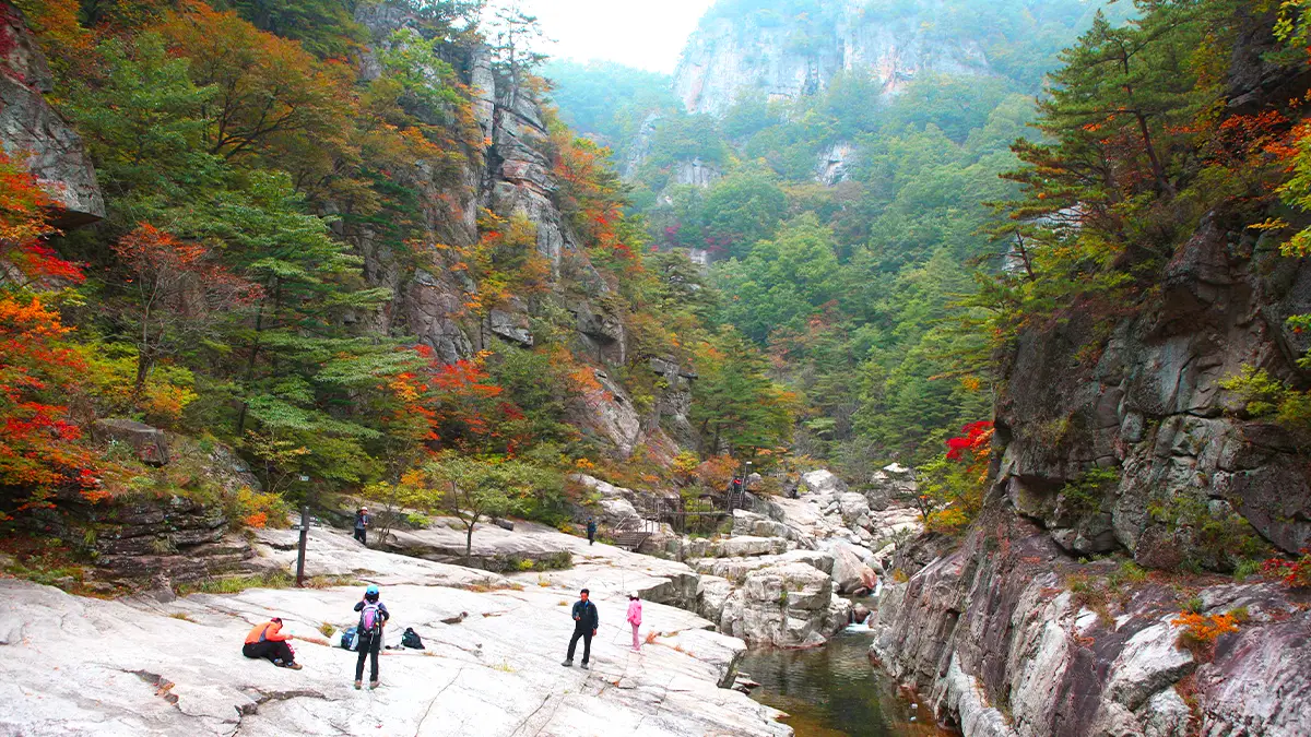 오대산 소금강계곡 오대산 소금강계곡