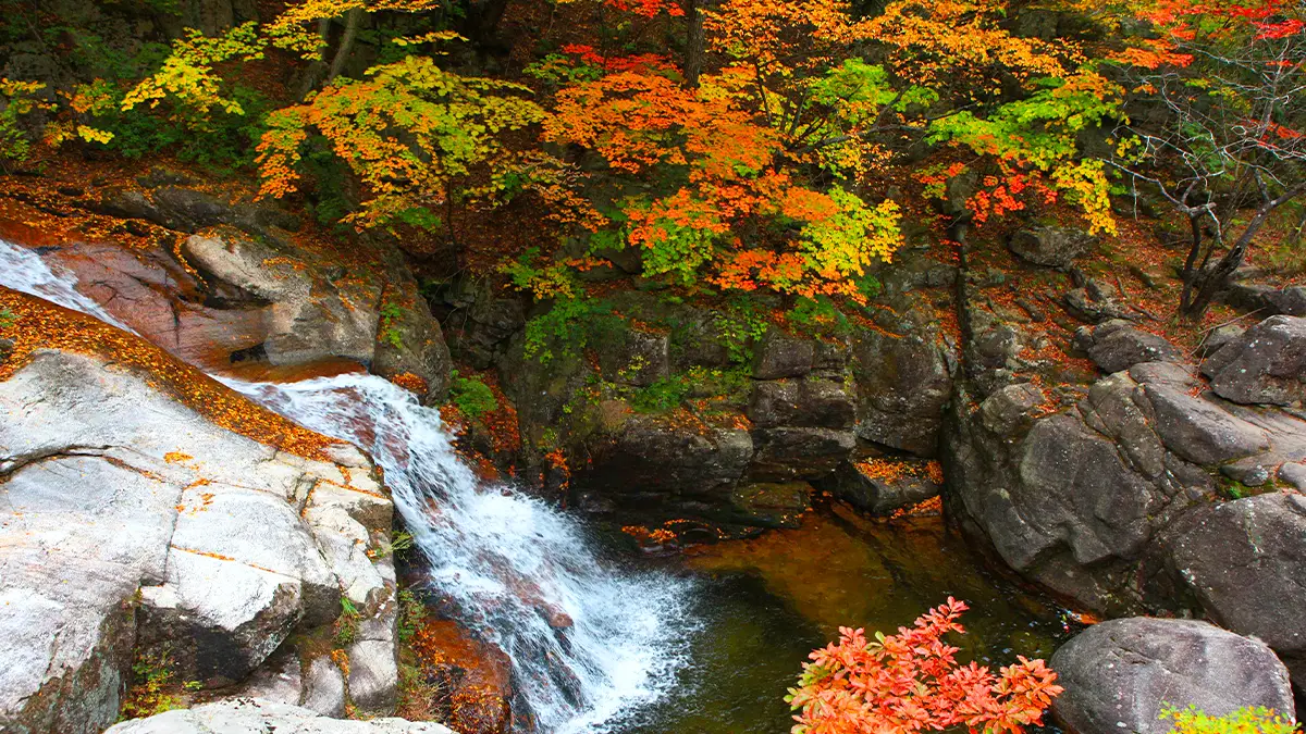 구룡폭포 구룡폭포
