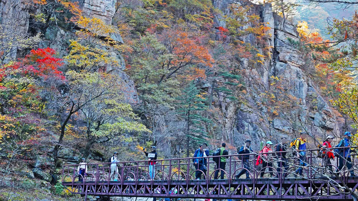 소금강계곡 단풍 트레킹 소금강계곡 단풍 트레킹