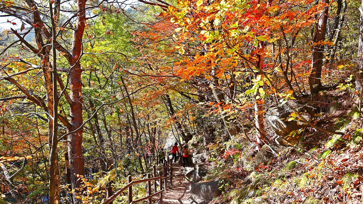오대산 가을 등산 오대산 가을 등산