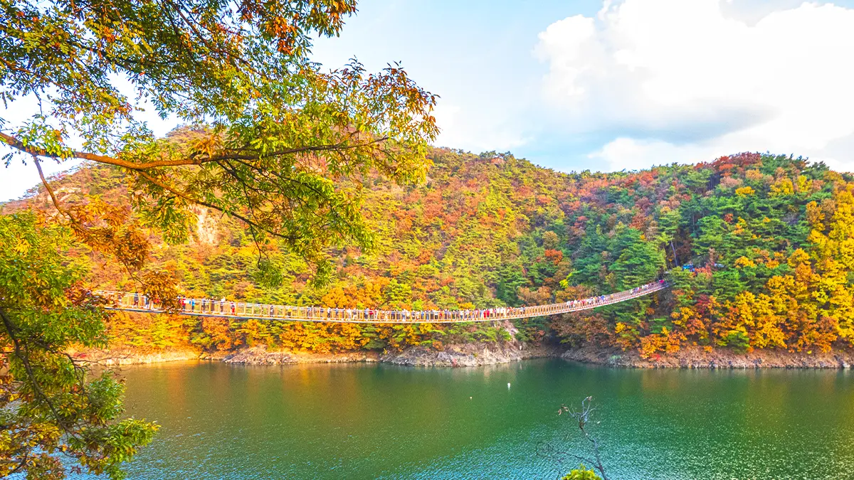 옥순봉 출렁다리 가을 전경