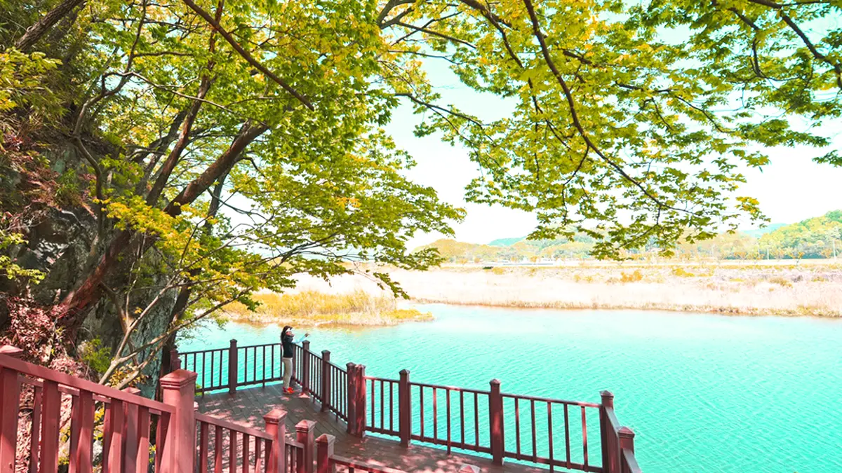 회연서원 대가천