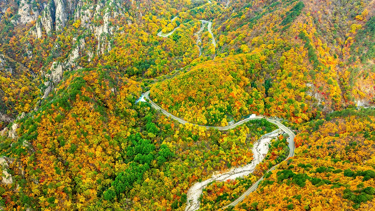 설악산 흘림골 전경 설악산 흘림골 전경
