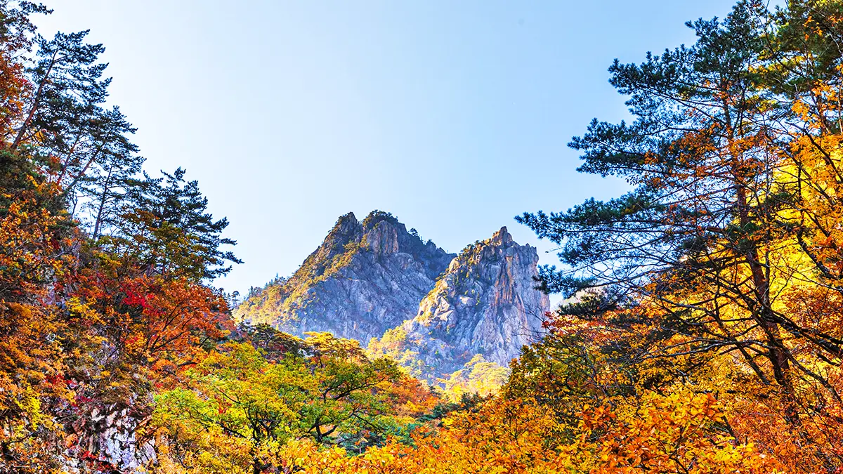 설악산 국립공원 설악산 국립공원
