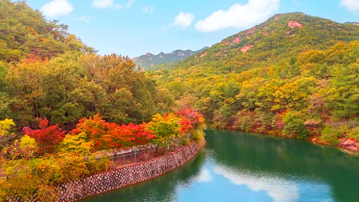 서울대 안양수목원 호수 서울대 안양수목원 호수