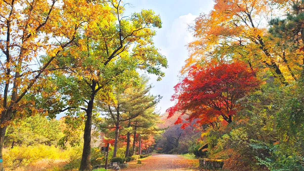 서울대 안양수목원 모습 서울대 안양수목원 모습