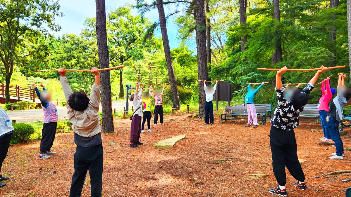 산림 치유 산림 치유